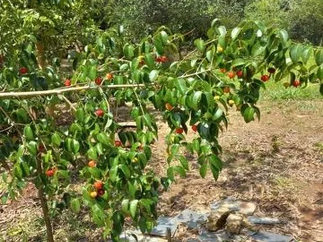 Imagem 5: Sitio 2400M Próximo a Lagoa Santa