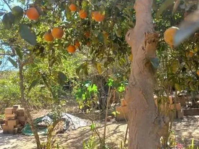 Imagem 6: Sitio 2400M Próximo a Lagoa Santa
