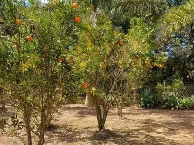 Imagem 7: Sitio 2400M Próximo a Lagoa Santa