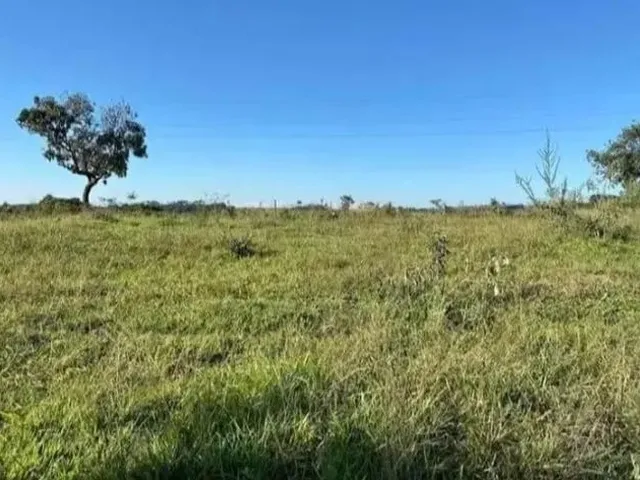 Imagem: 2 Alqueires Sem Benfeitoria com Energia
