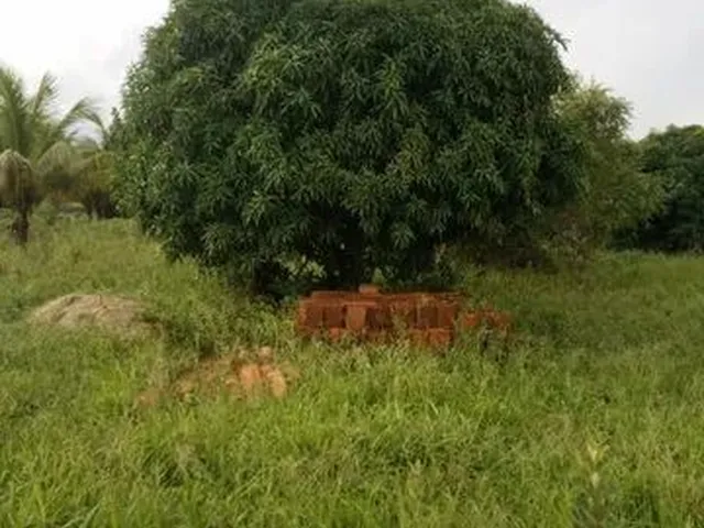 Imagem 3: Vende-Se Ou Troca,Lotes em Salgado-Se