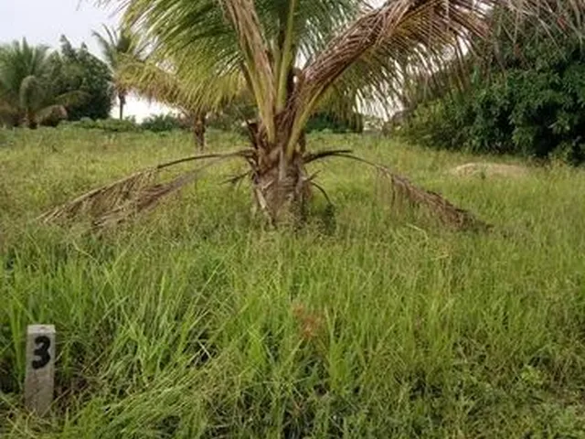 Imagem 6: Vende-Se Ou Troca,Lotes em Salgado-Se
