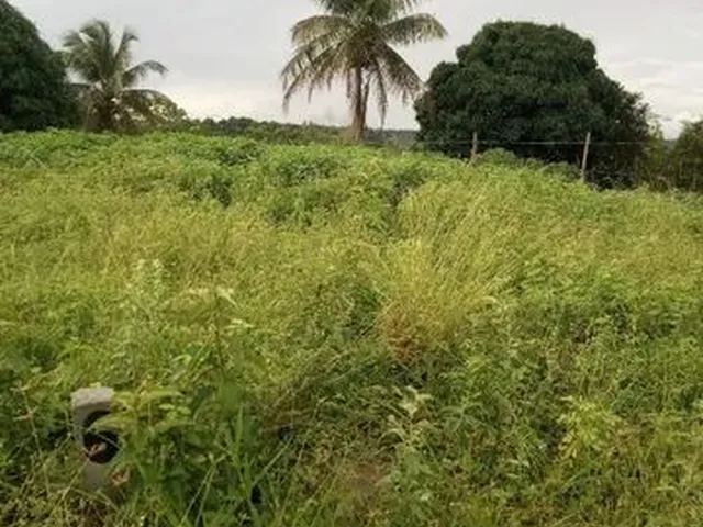 Imagem 2: Vende-Se Ou Troca,Lotes em Salgado-Se