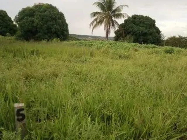 Imagem 5: Vende-Se Ou Troca,Lotes em Salgado-Se