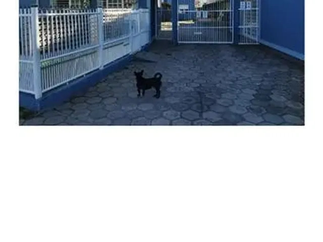 Imagem: Apto Venda 01 Dorm Cachoeirinha Barbada