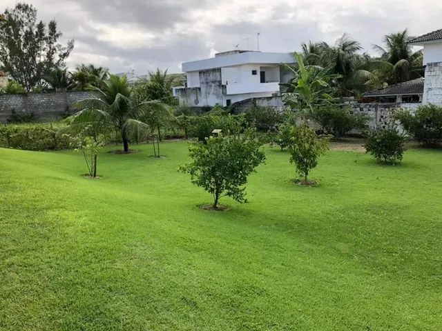 Imagem 8: Casa de Condomínio 4 Suites Buscaville