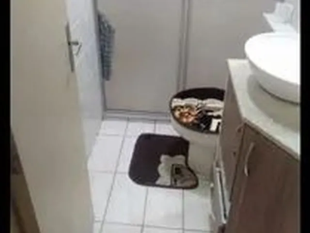 Imagem 8: Alugo Quarto de Solteiro