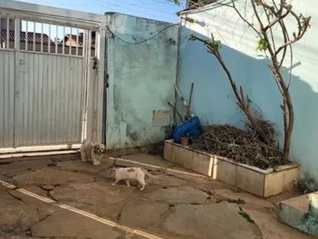 Imagem 12: Alugo Casa 3 Quartos Esplanada 05
