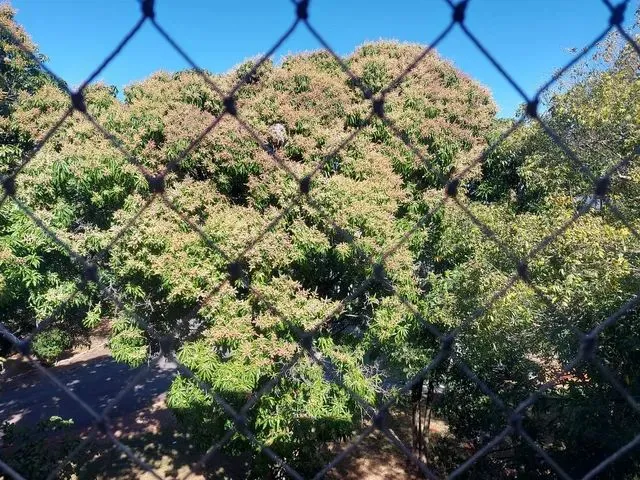 Imagem: Apartamento de 1 Quarto na 408 Sul
