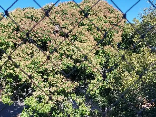 Imagem 6: Apartamento de 1 Quarto na 408 Sul