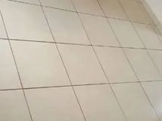Imagem 4: Apartamento no Macapaba 1