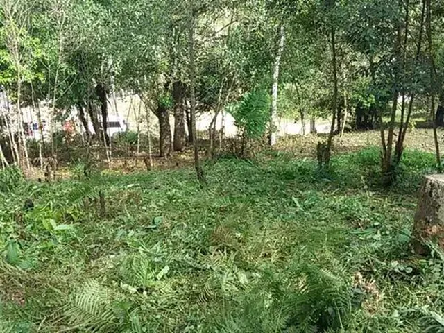 Imagem: Terreno Km4 Antonina Pr