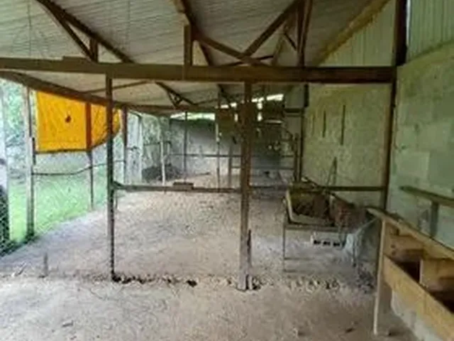 Imagem 5: Vendo Sítio em Muribeca (Entrada Antes do Posto dos Guardas