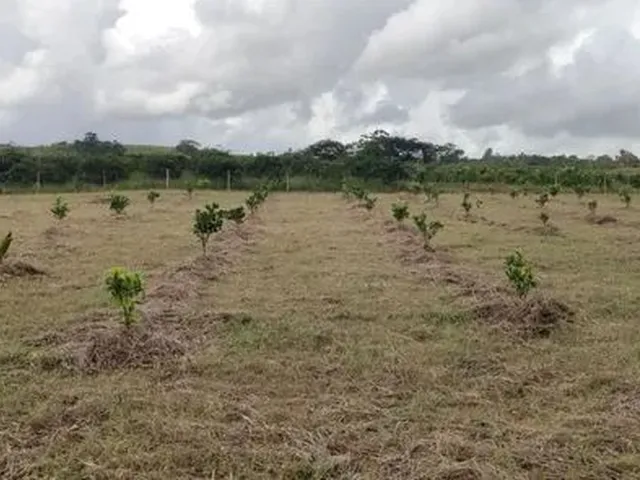 Imagem: A chácara possui 12.000m² de Área e está localizado em