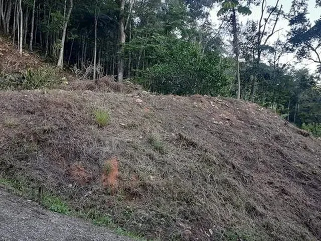 Imagem: Terreno Rural Santo Amaro da Imperatriz