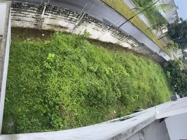 Imagem 2: Passaredo Casa Vende Ou Troca em Apto Ponta Negra