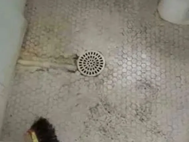 Imagem 2: Kit Net Edifício Líder Av Hernani Amaral Peixoto