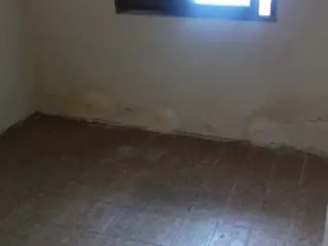 Imagem 10: Casa para Alugar em Campo Grande