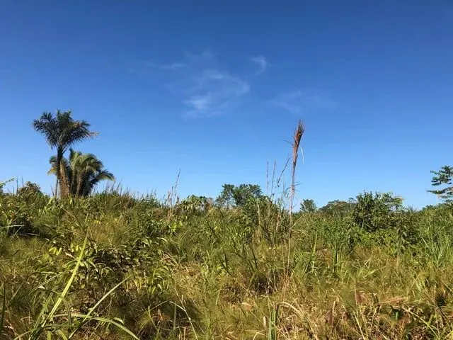 Imagem: Lotes de Terra de 833 Hectares no Total