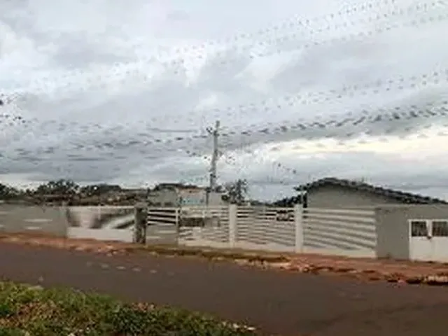 Imagem 3: Casa - Campo Grande - Ms - Lote 19
