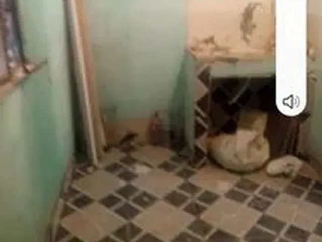 Imagem: Casa na Grota Vende