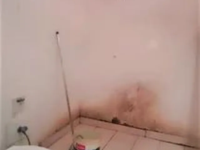Imagem 9: Casa com 3 Quartos no santa Maria
