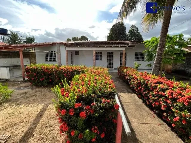 Imagem 8: Imóvel Residencial - Bairro Liberdade