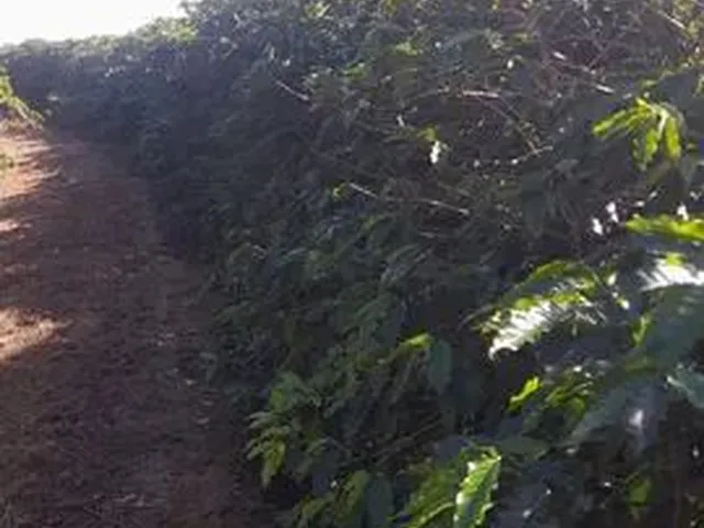 Imagem: A fazenda possui 871.000m² de Área e está localizado em