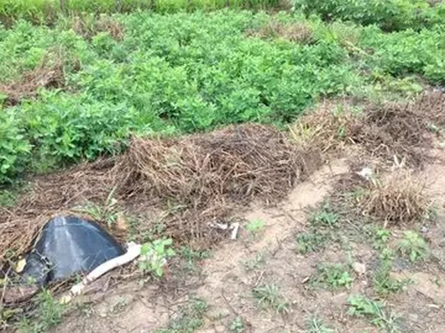 Imagem: Vendo Lote 500M² Bairro Bom Destino santa