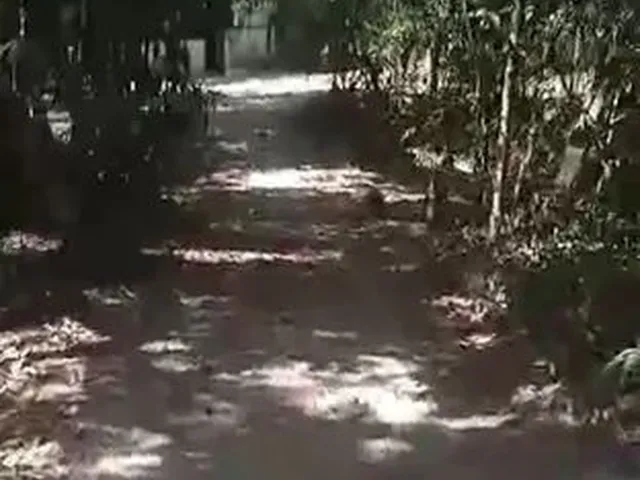 Imagem 4: Chacara na Beira do Riu Uru