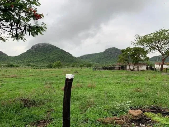 Imagem: Fazenda com Rio em Iaçu-Ba