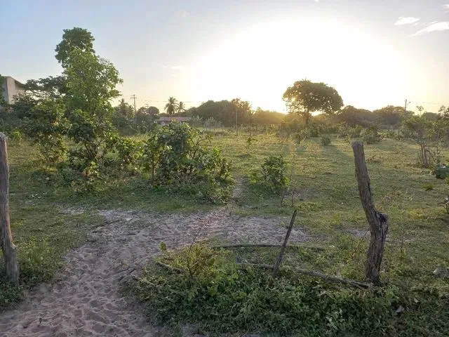 Imagem: Terreno Próximo À Lagoa do Banana
