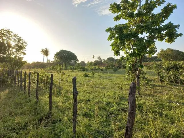 Imagem 2: Terreno Próximo À Lagoa do Banana