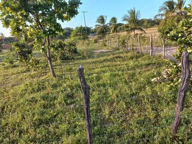 Imagem 3: Terreno Próximo À Lagoa do Banana