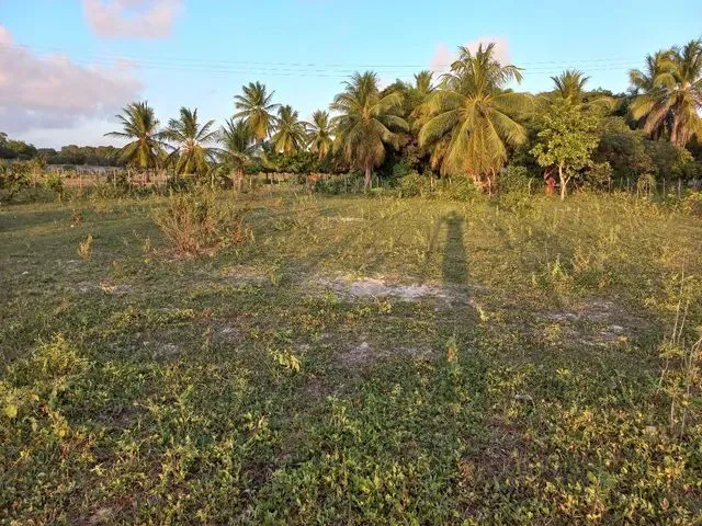Imagem 5: Terreno Próximo À Lagoa do Banana