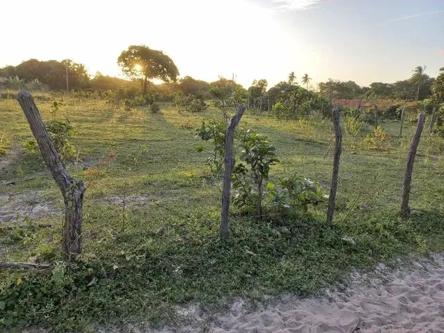 Imagem 4: Terreno Próximo À Lagoa do Banana
