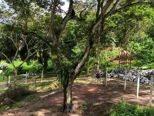 Imagem 13: Lotes na Serra a 2Km do Centro do Pacoti e 07 de Guaramiranga Vem para Esse Paraiso Muito