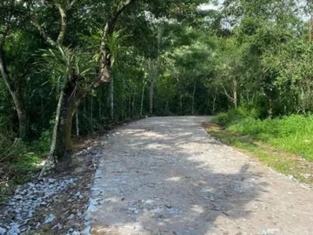 Imagem 7: Lotes na Serra a 2Km do Centro do Pacoti e 07 de Guaramiranga Vem para Esse Paraiso Muito