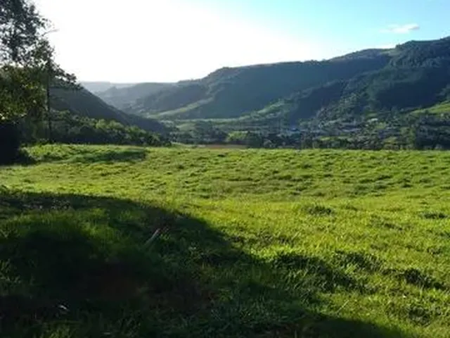 Imagem 5: Vende-Se Sítio em Alfredo Wagner -Sc