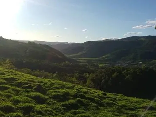 Imagem 13: Vende-Se Sítio em Alfredo Wagner -Sc