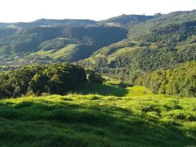 Imagem 16: Vende-Se Sítio em Alfredo Wagner -Sc
