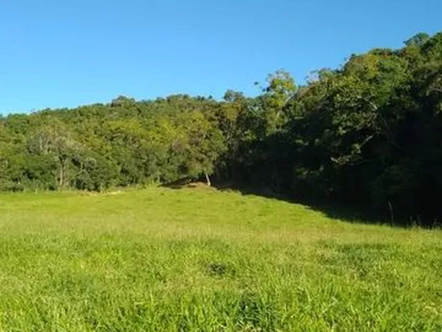 Imagem 14: Vende-Se Sítio em Alfredo Wagner -Sc