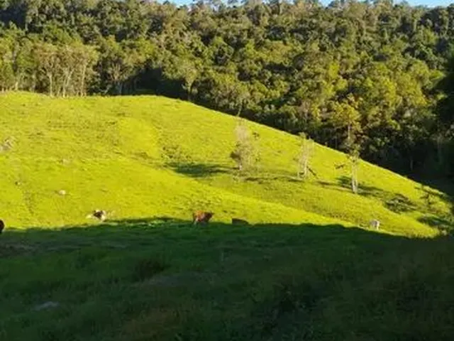 Imagem 2: Vende-Se Sítio em Alfredo Wagner -Sc