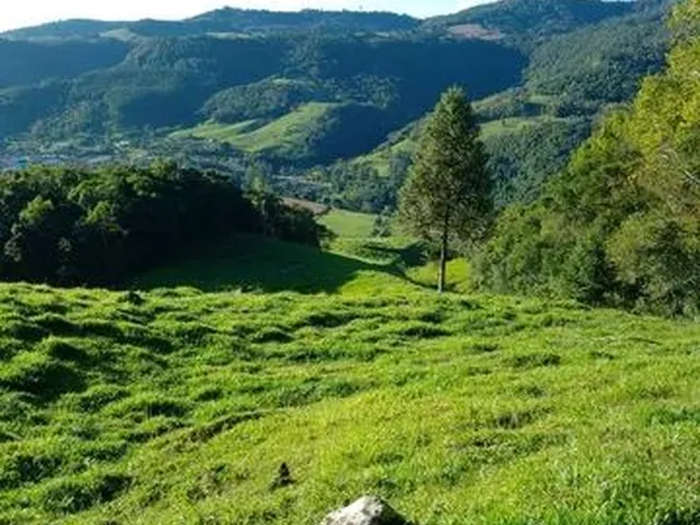 Imagem 3: Vende-Se Sítio em Alfredo Wagner -Sc
