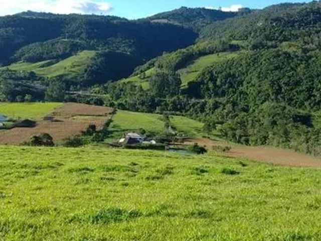 Imagem 11: Vende-Se Sítio em Alfredo Wagner -Sc