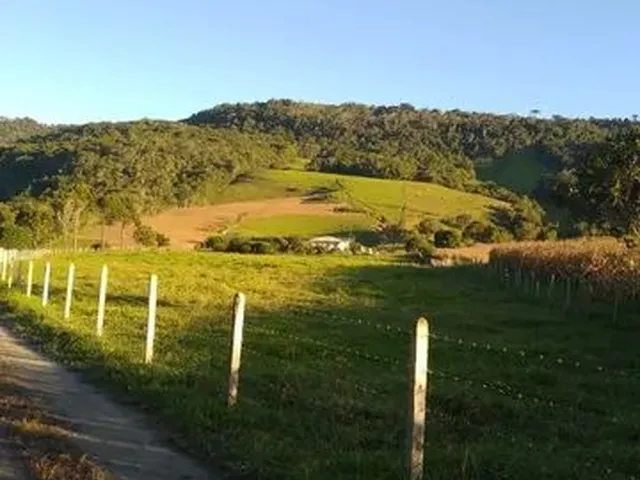 Imagem 8: Vende-Se Sítio em Alfredo Wagner -Sc