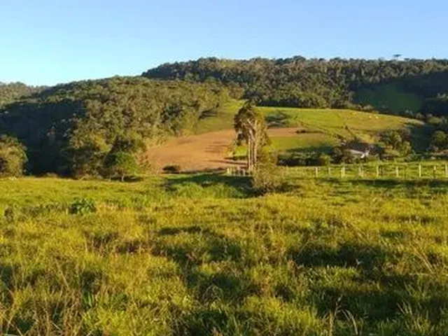 Imagem 12: Vende-Se Sítio em Alfredo Wagner -Sc