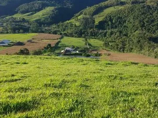 Imagem 6: Vende-Se Sítio em Alfredo Wagner -Sc