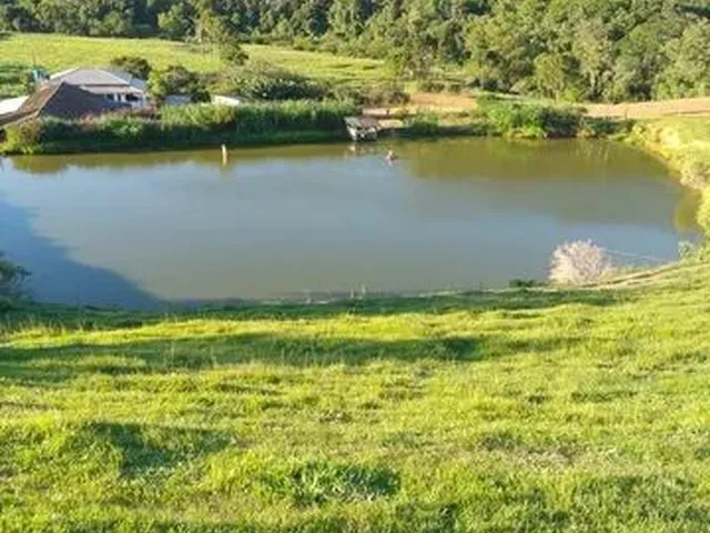 Imagem 7: Vende-Se Sítio em Alfredo Wagner -Sc
