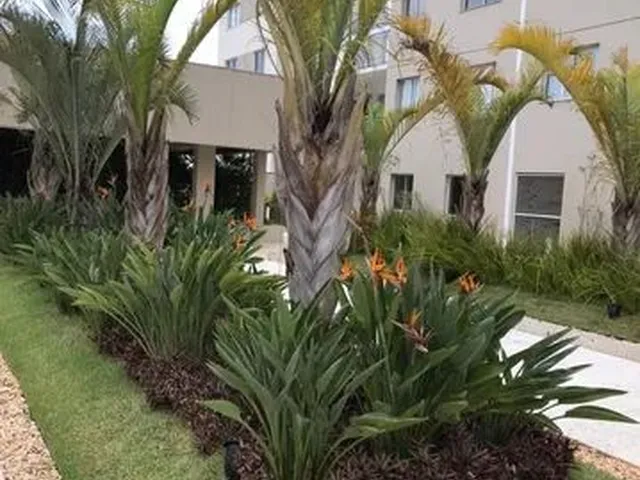 Imagem: Apartamento Bem Localizado
